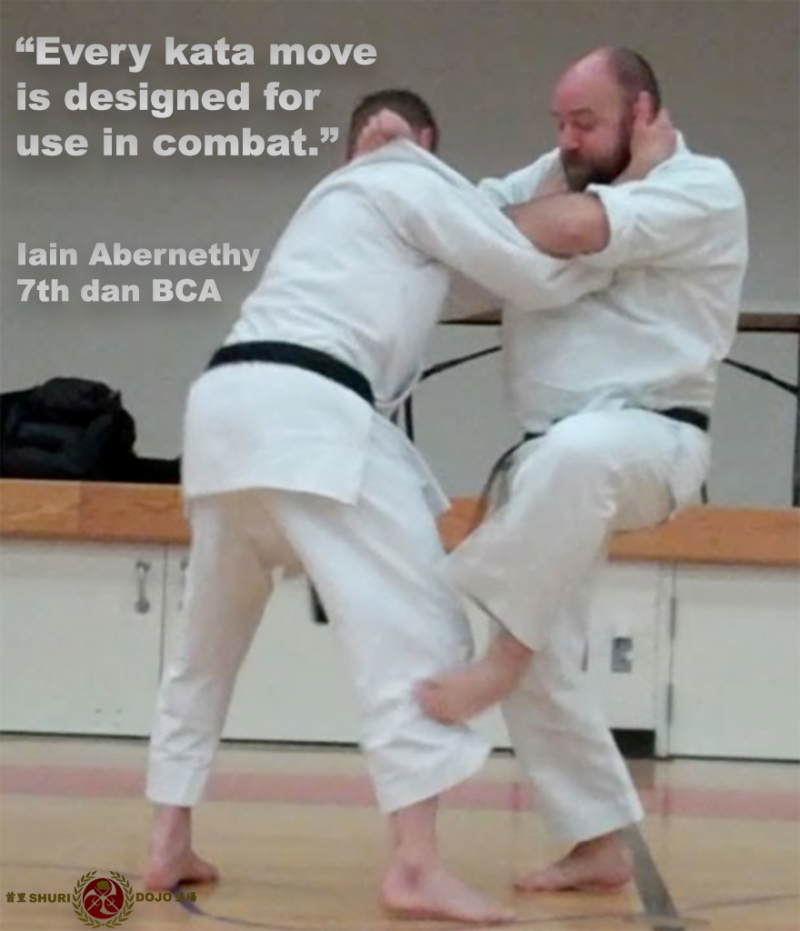 “Every kata move is designed for use in combat.” | The Open Hand Notebook